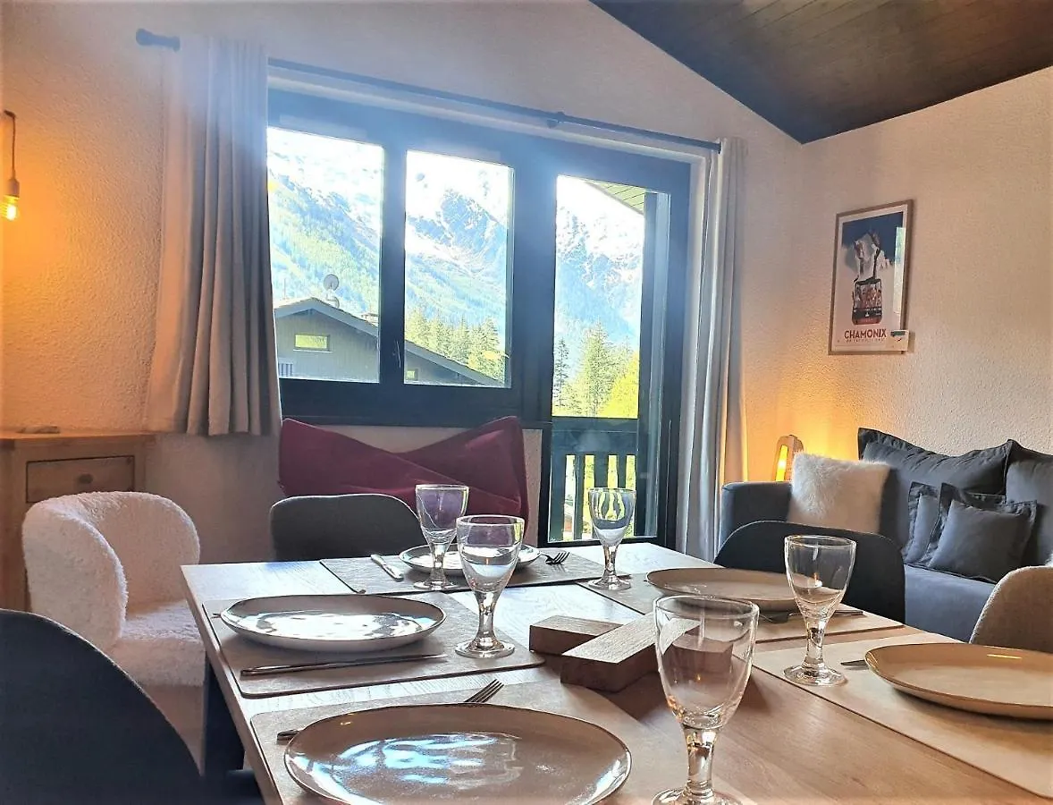 Chamonix superbe appartement vue Mont Blanc France