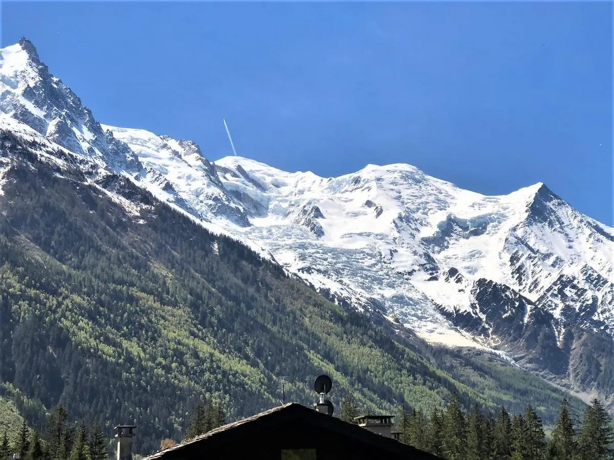 Chamonix Superbe Appartement Vue Mont Blanc 0*,