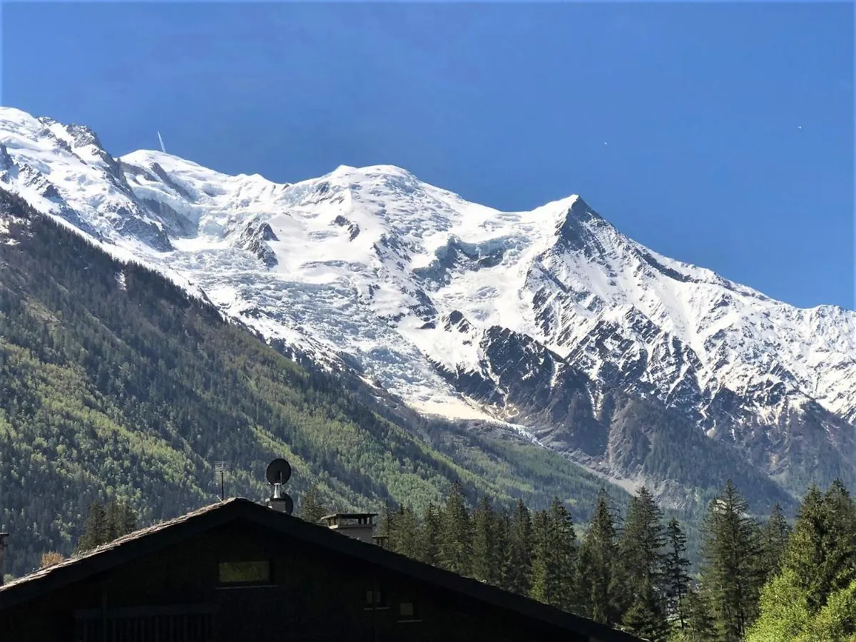 Chamonix Superbe Appartement Vue Mont Blanc 아파트