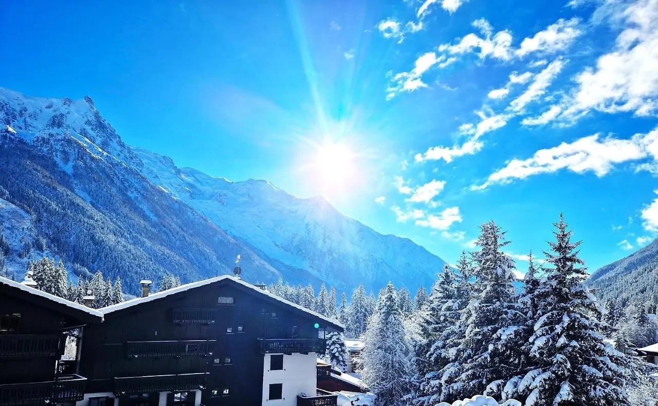 Chamonix superbe appartement vue Mont Blanc