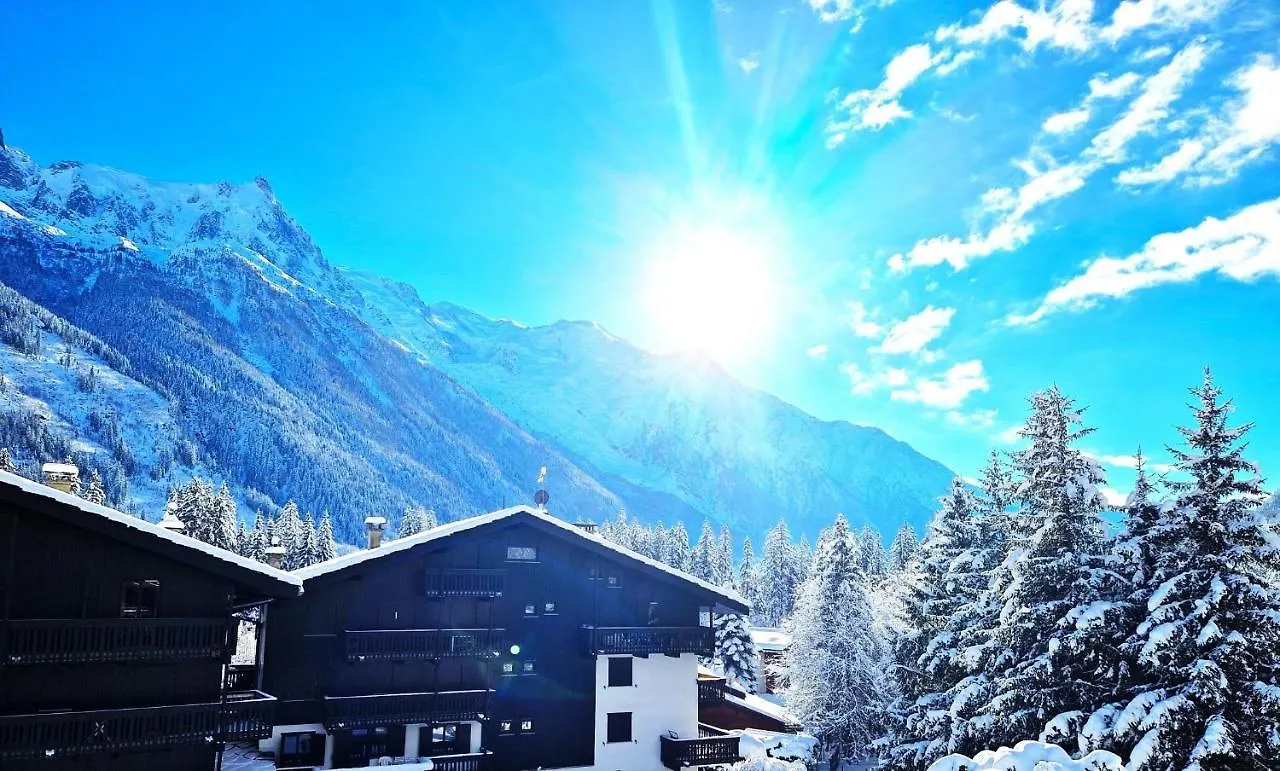 Chamonix superbe appartement vue Mont Blanc 0*,