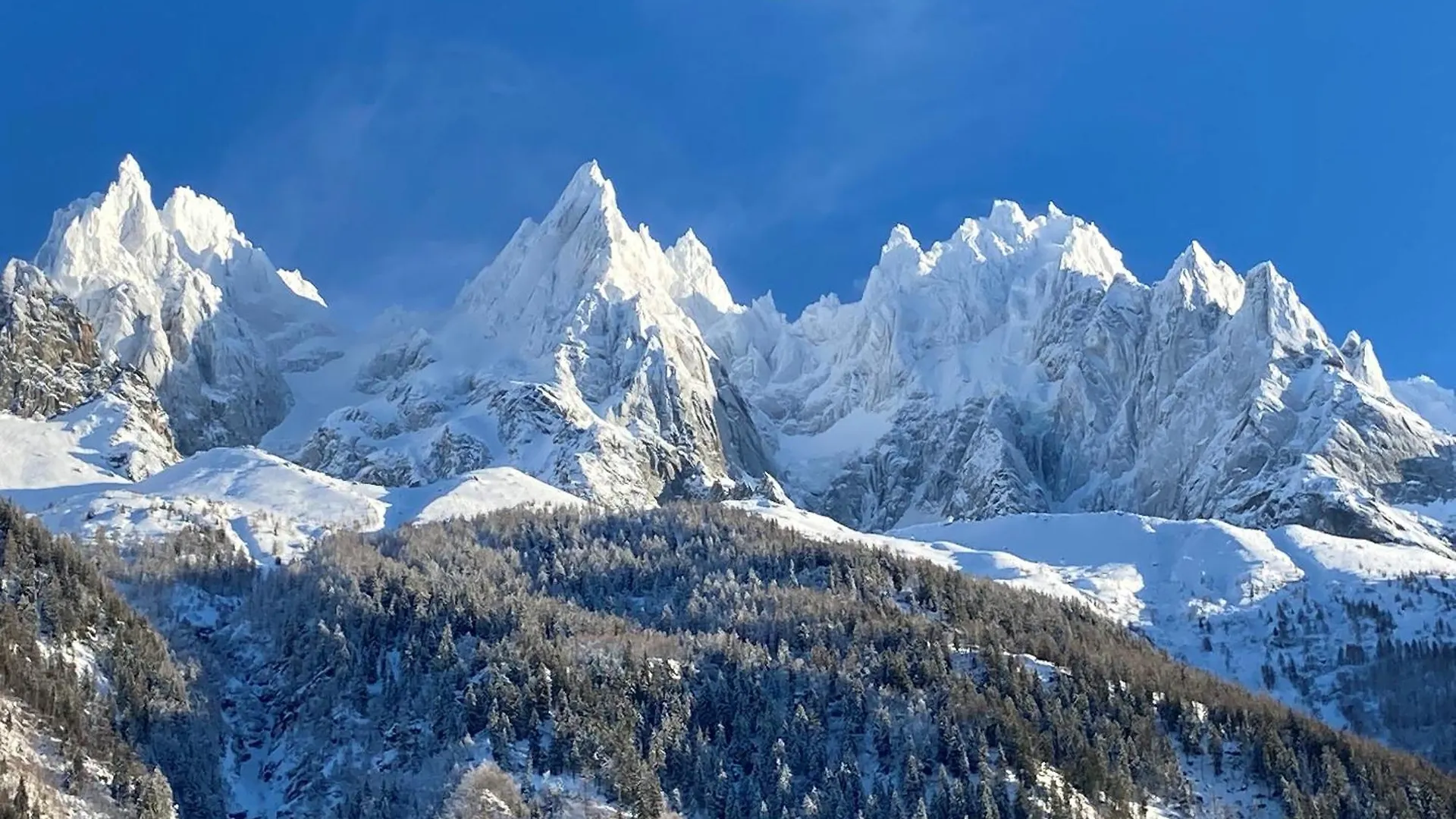 Chamonix superbe appartement vue Mont Blanc